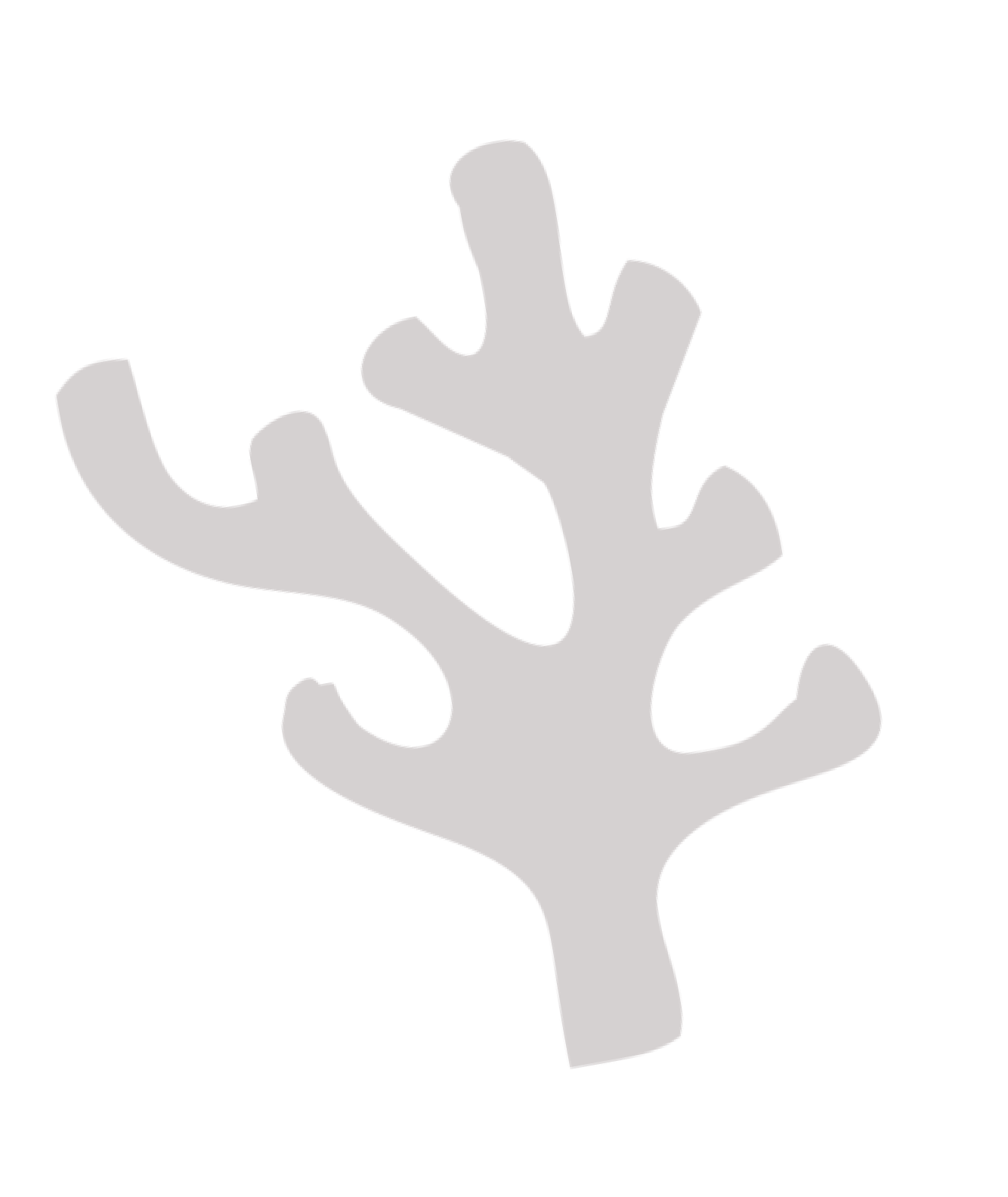 Fondo coral oscuro para la tarjeta de visión